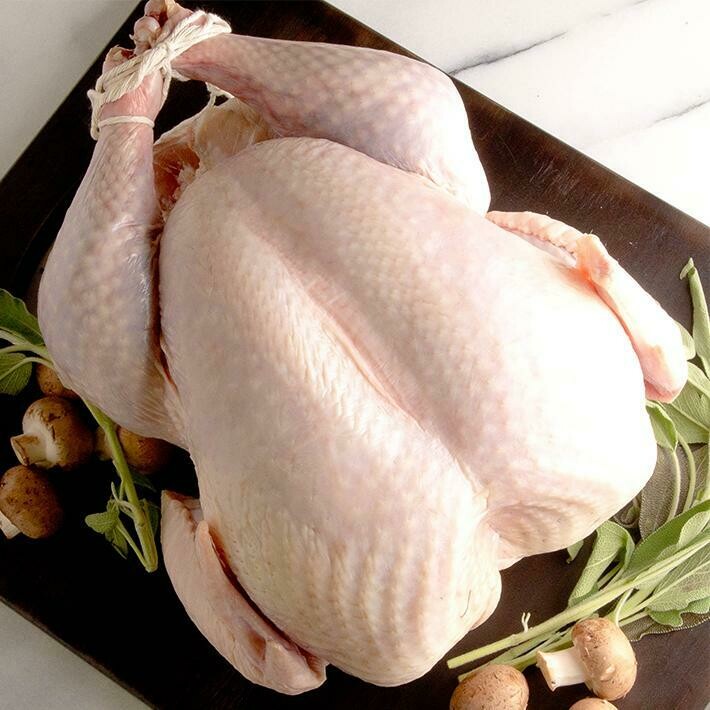 Fresh Turkey