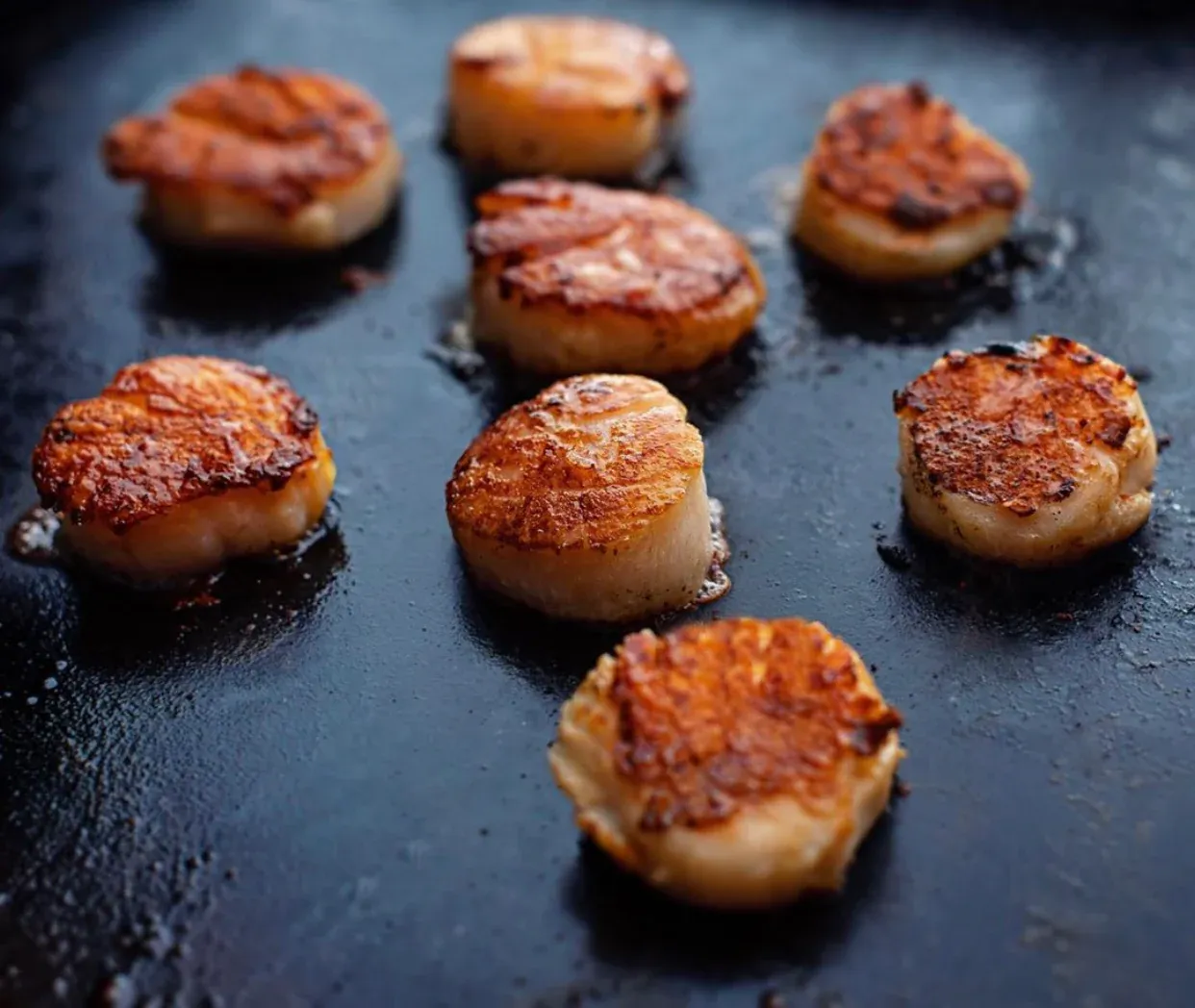 U-8 Deep Sea Diver Scallops Dry