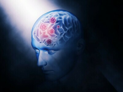 Cognitive Function