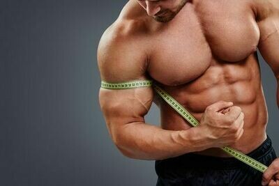 Muscle Gain