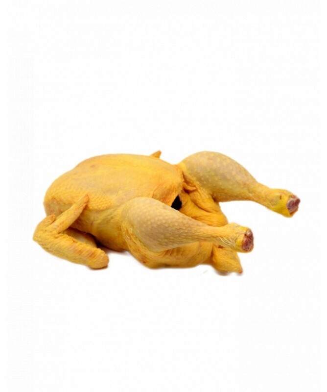 pollo de corral