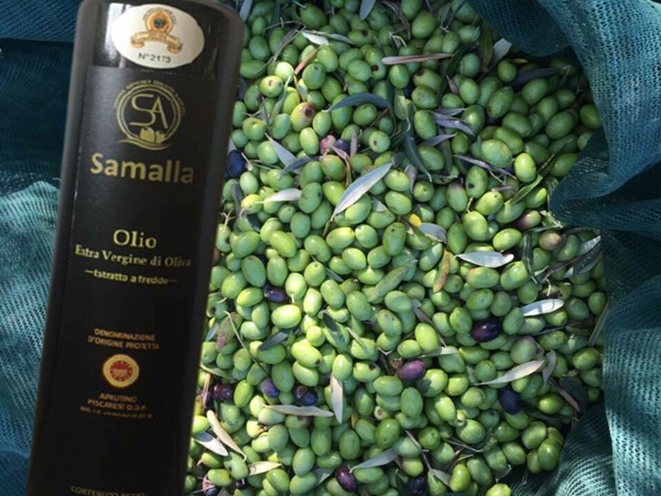 Оливковое масло первого холодного отжима Samalla DOP (кампания 2021/22)