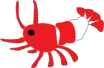 ShrimpShop