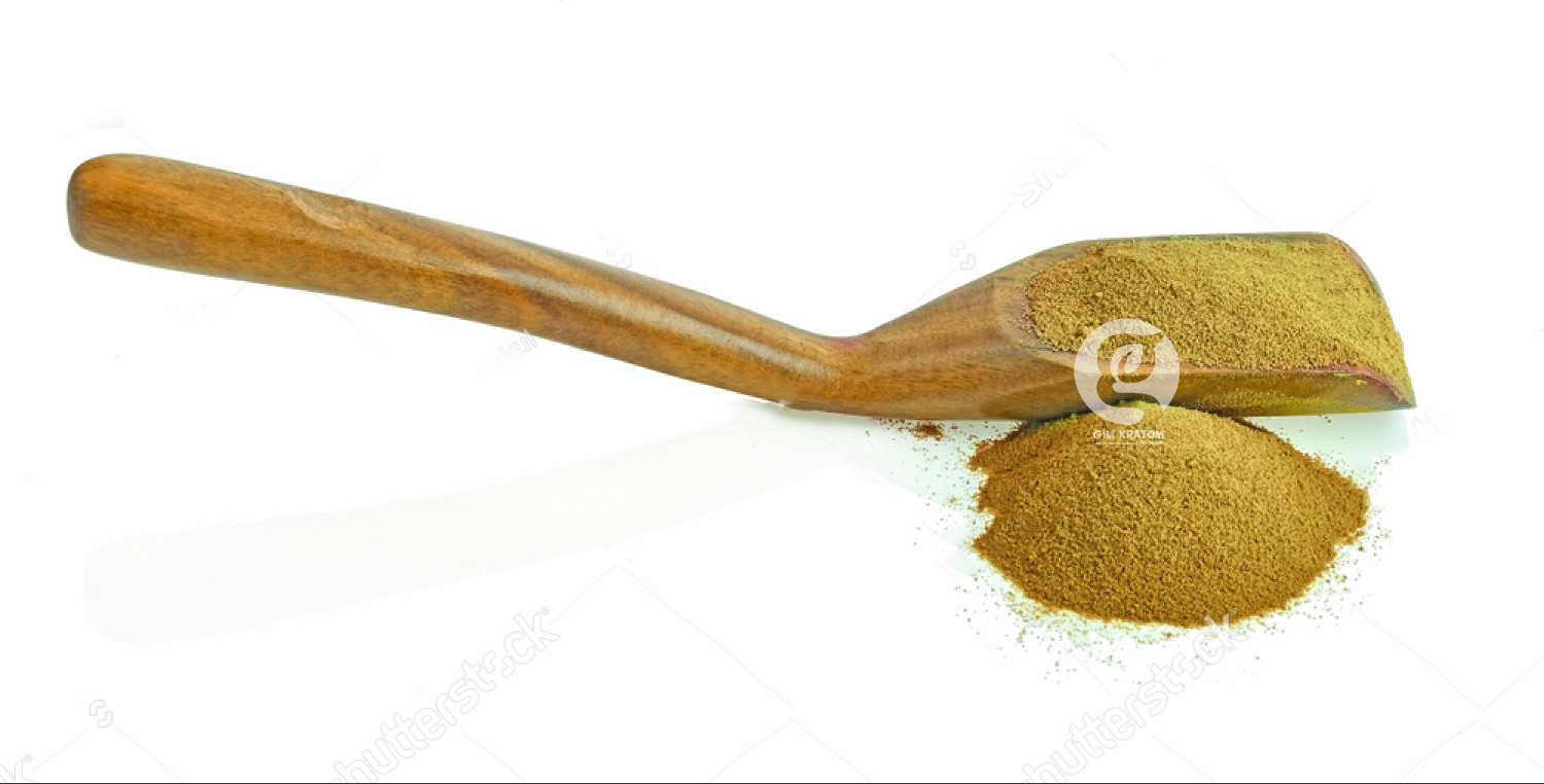 Sulawesi