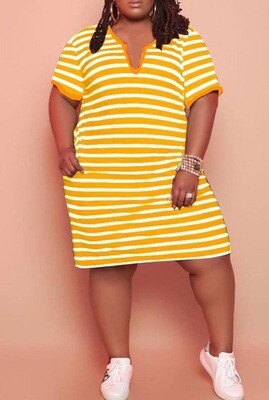 Striped print V neck dresses