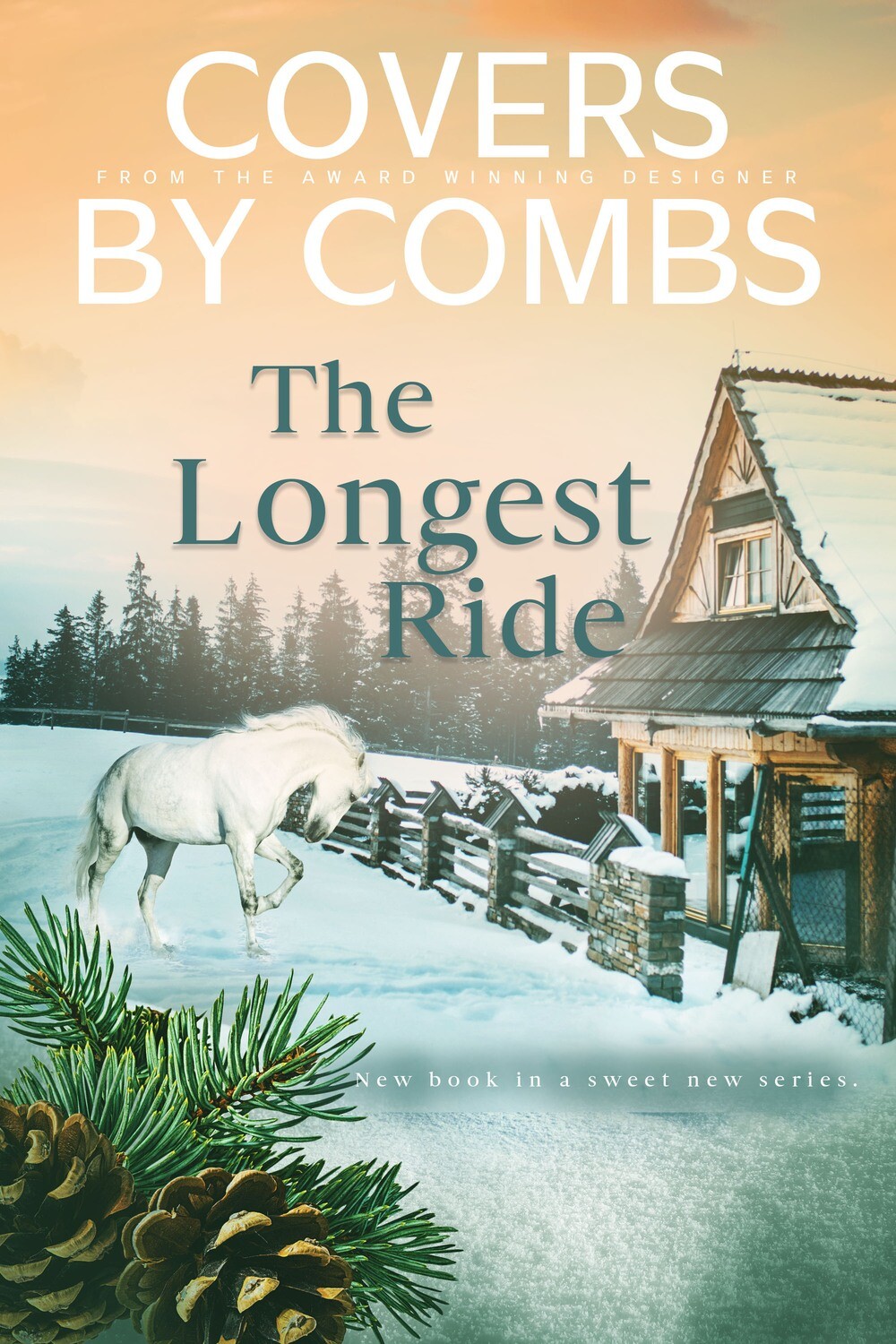 The Longest Ride / 2