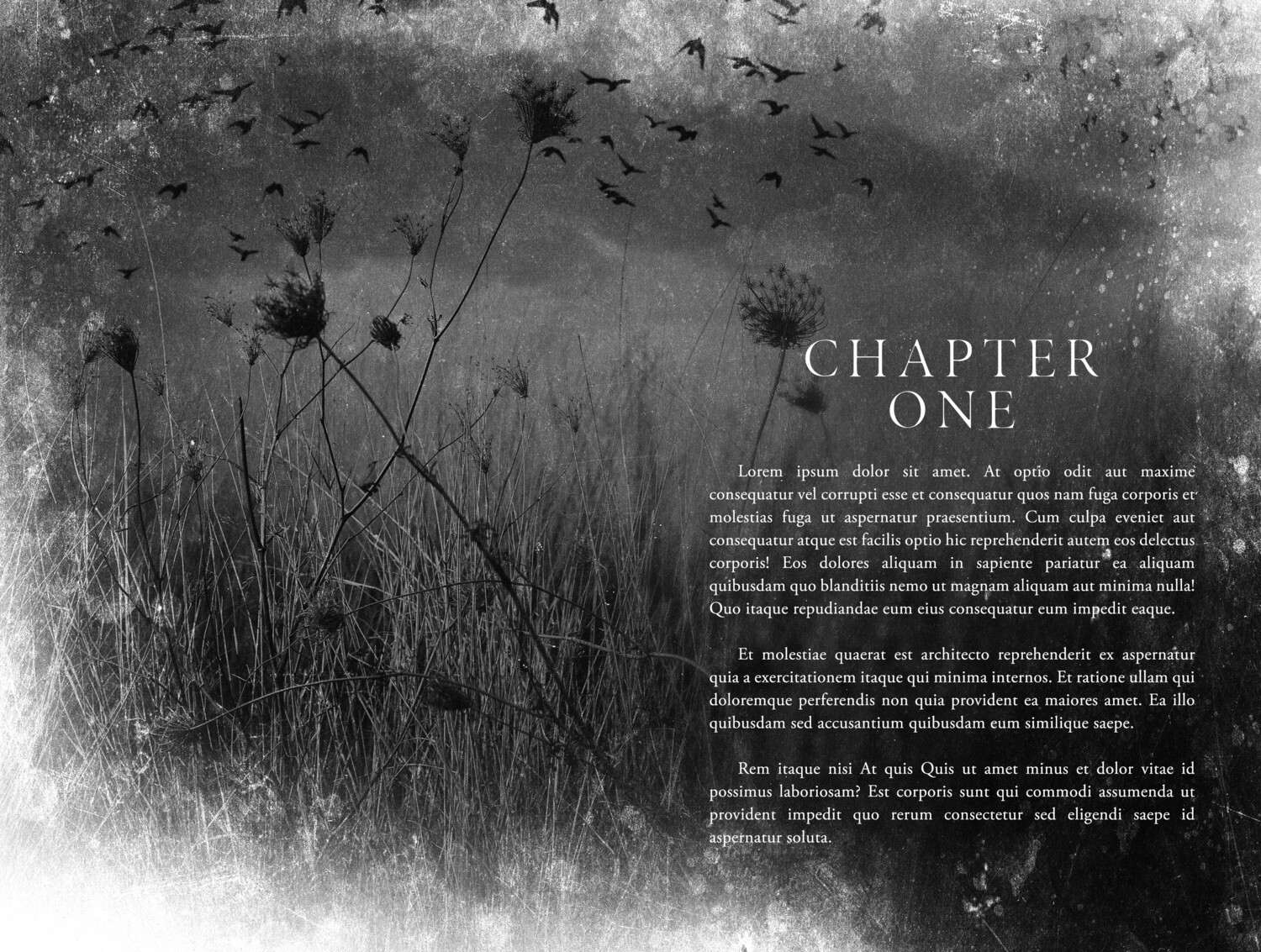 Interior Page Kit #8