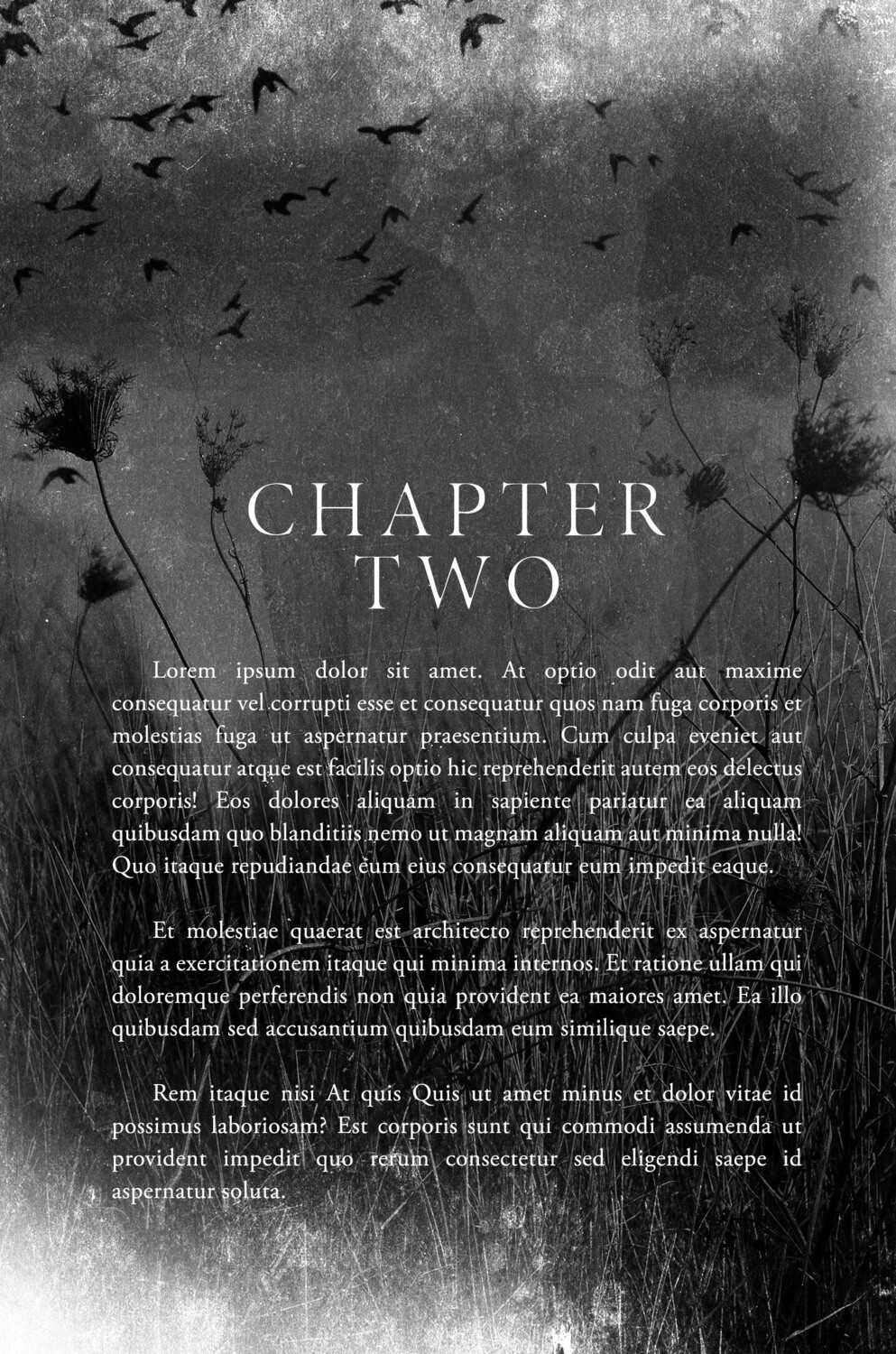 Interior Page Kit #8