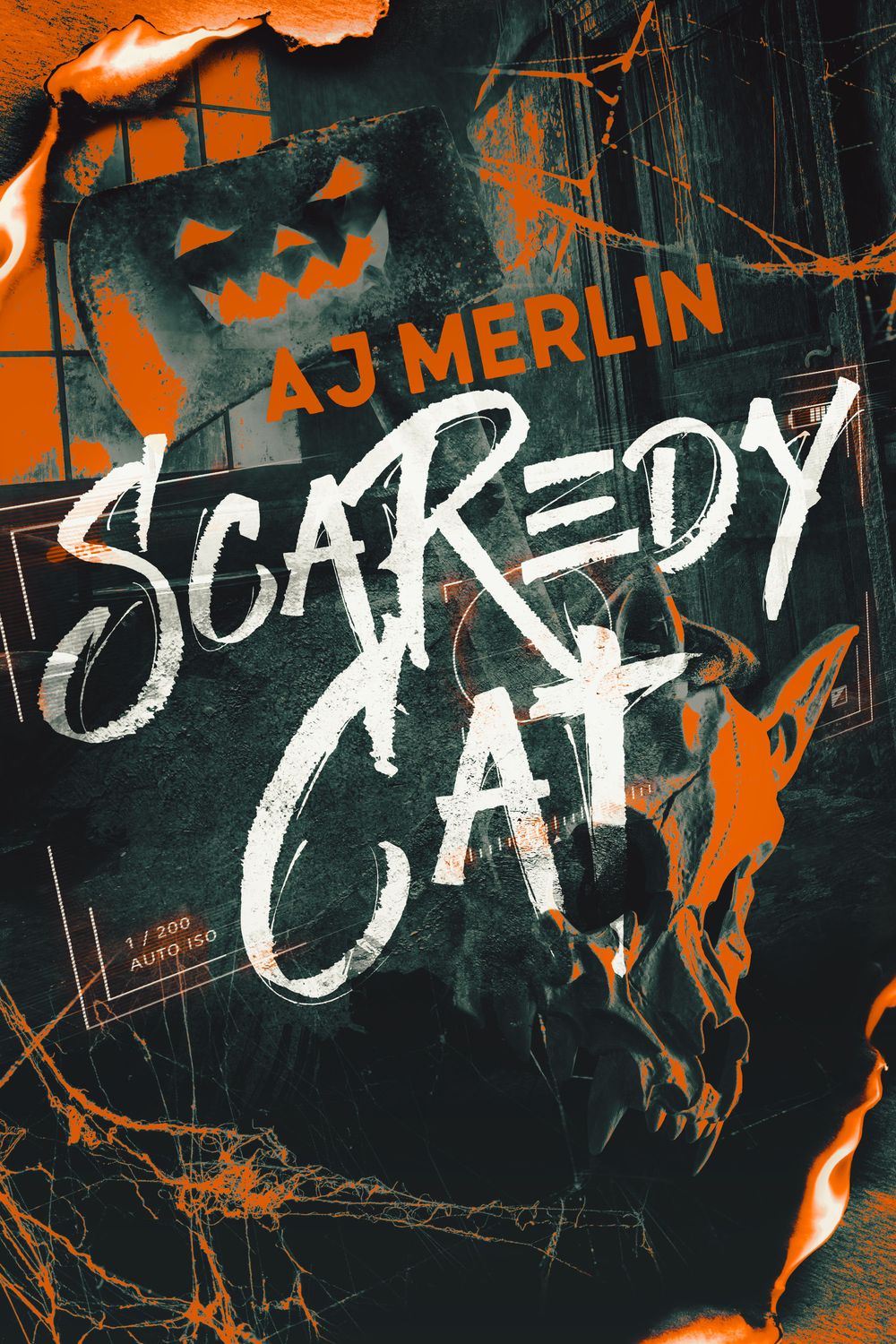Scaredy Cat