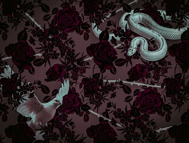 Serpent's Dove End Paper Design