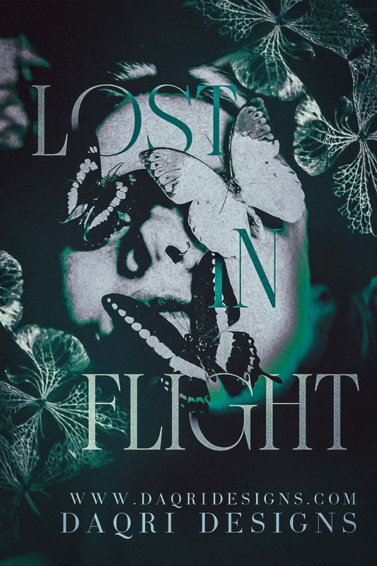 Lost In Flight