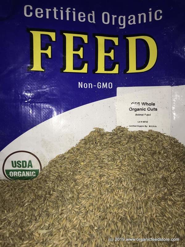 Oats - Whole
