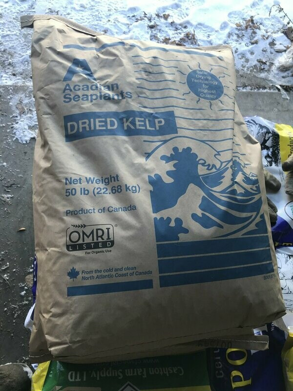 Kelp Meal