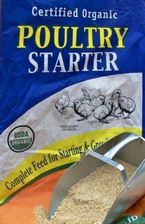 Chick eating organic 20G starter feed RCR Organic Feedstore Hamburg MN