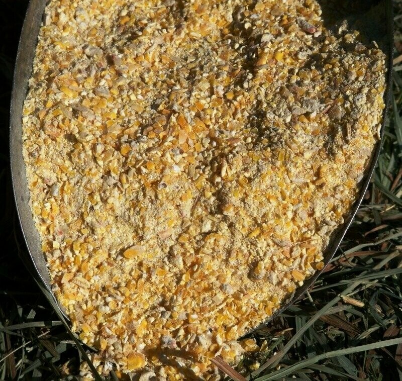 Corn Rolled Organic