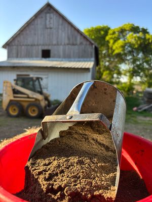 Organic Grains