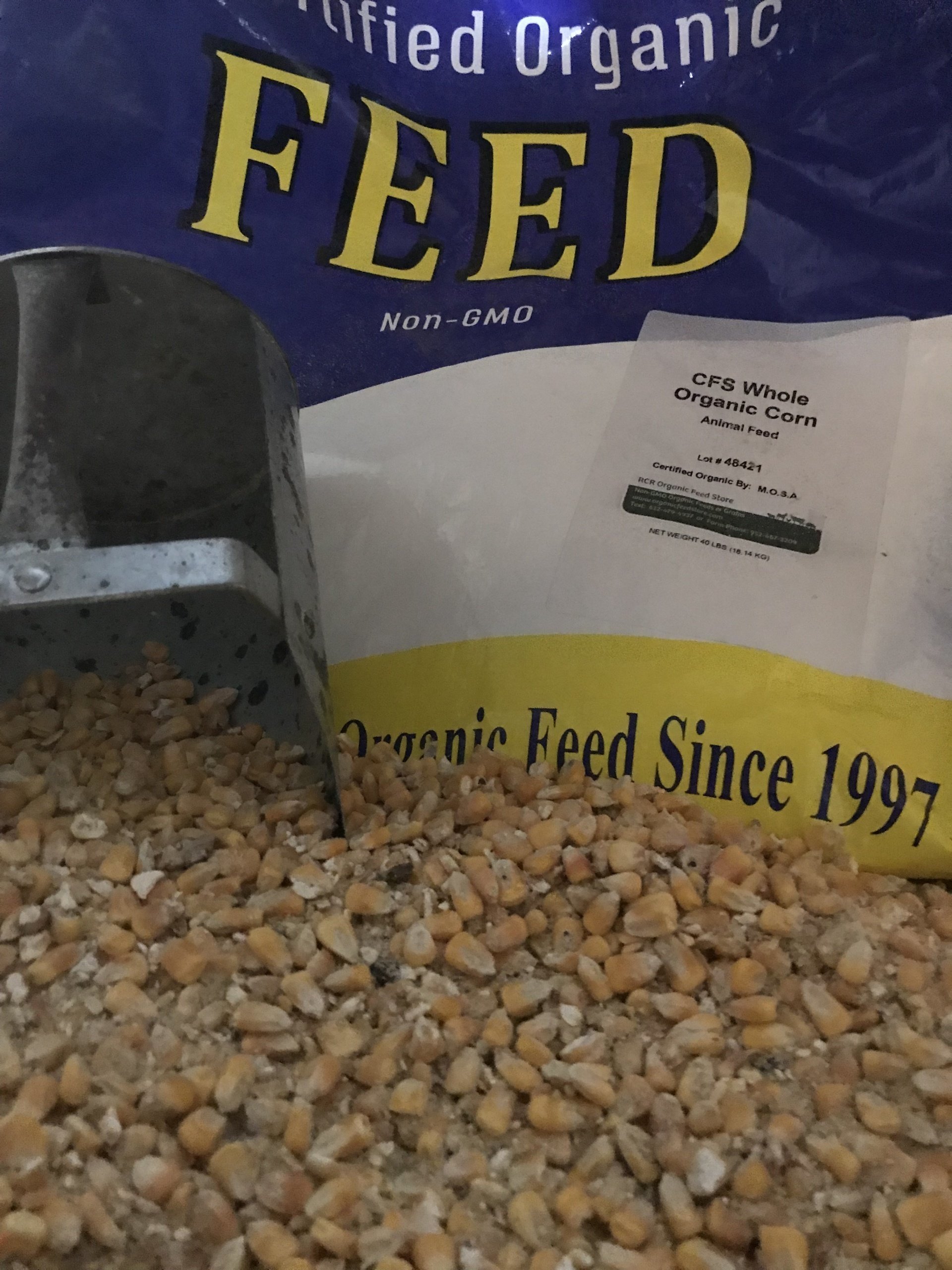 Whole corn livestock and poultry feed — RCR Organic Feed Store, Midwest organic mill sourced.