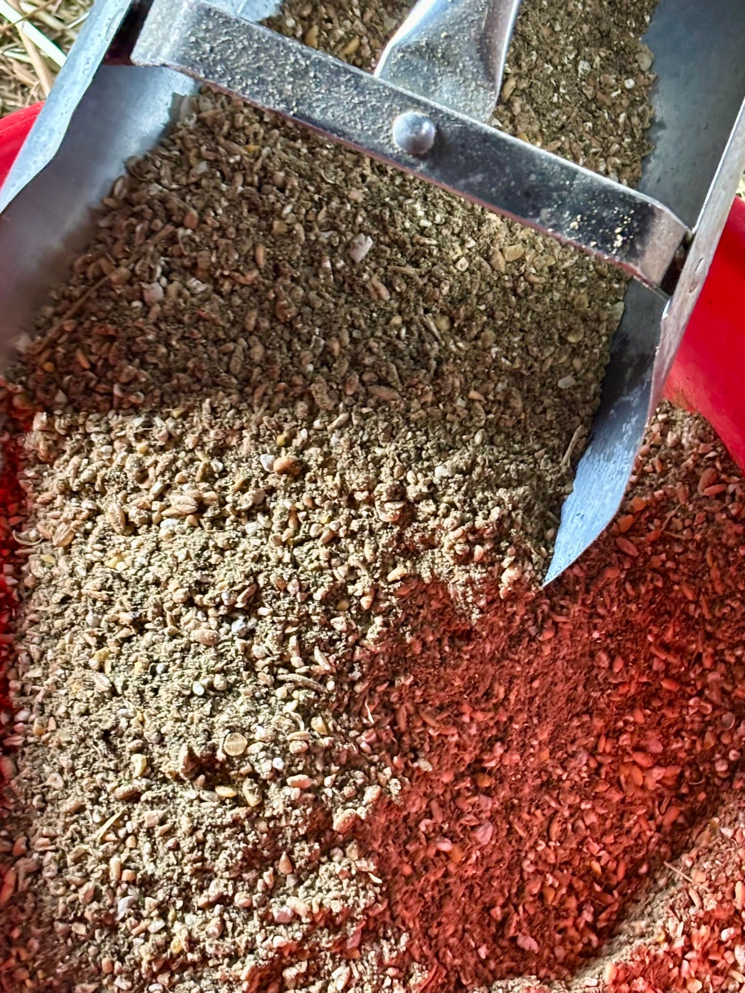 RCR Organic No‑Soy No‑Corn Layer 17 Ground Feed bag, available for on‑farm pickup in Hamburg, Minnesota.