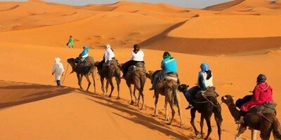 Merzouga overnight camel trekking