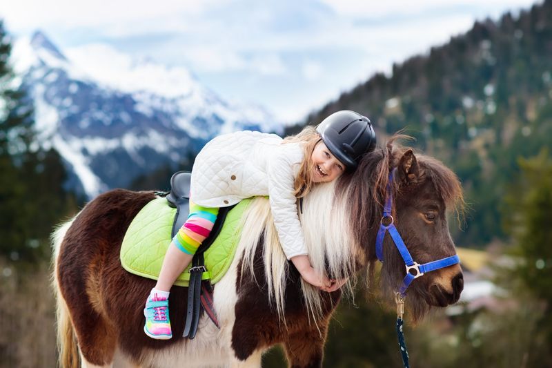 Bambini Reiten Trostberg für Kinder ab ca.1,5 Jahre bis ca. 3 Jahre INDIVIDUELLER TERMIN! Einzelsetting --- Mit Theresa