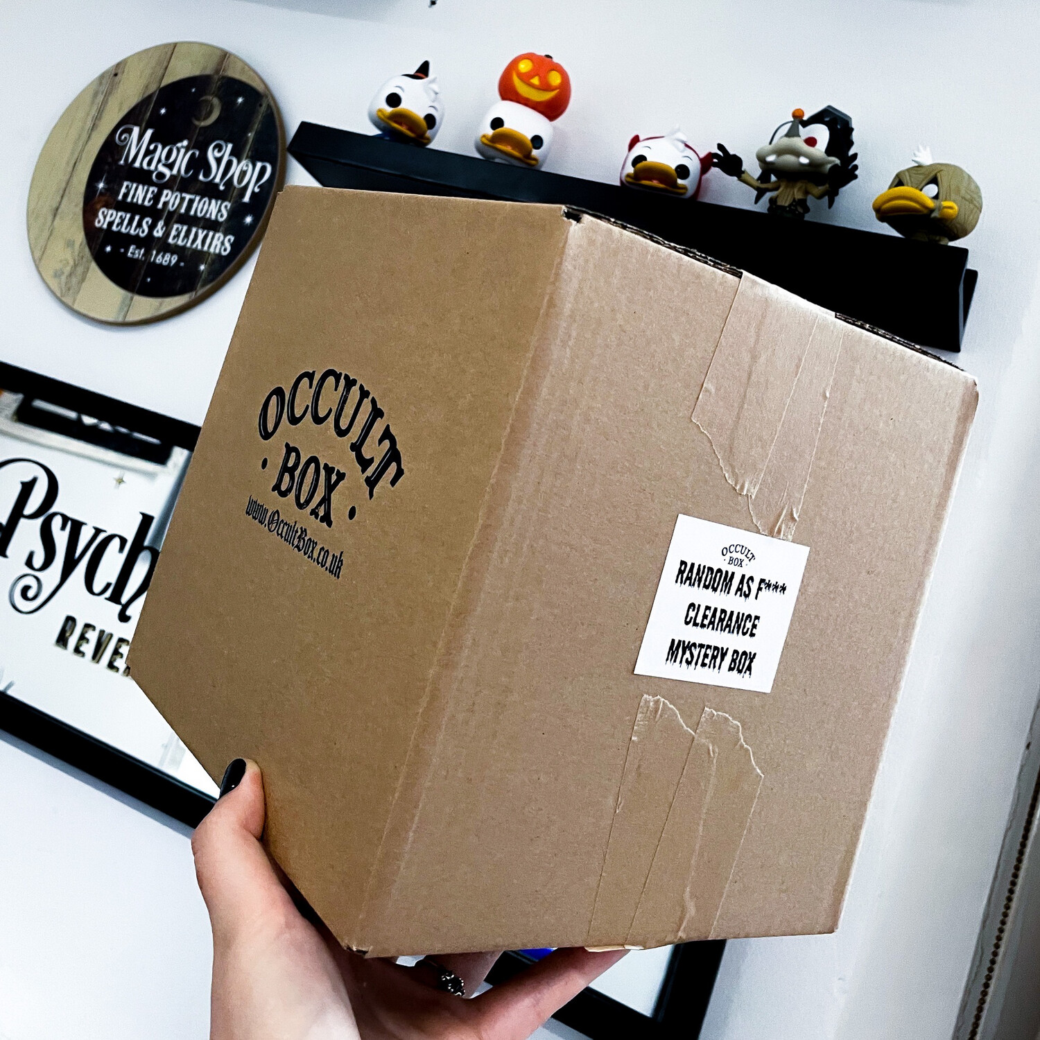 Small  NWT Mystery Box  Mystery, Mystery box