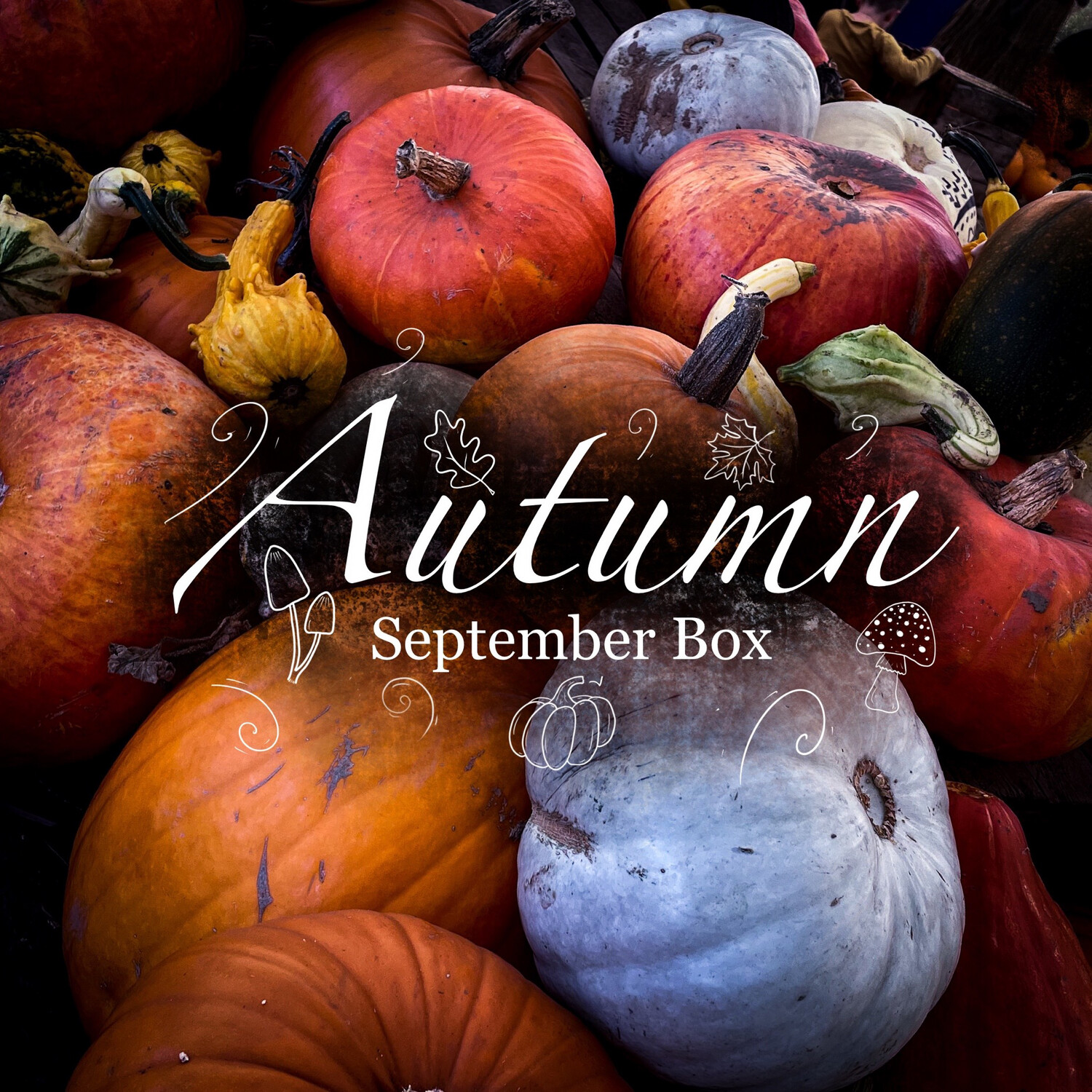 Autumn - Mystery Box- One Off- September ( Smaller Version Of Original Box )