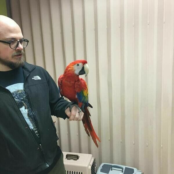 Exotic Parrot Aviary