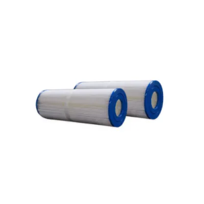 Lot de 2 filtres de spa - BLSF 11