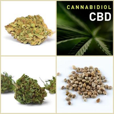 High CBD Seeds