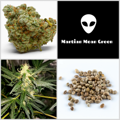 Martian Mean Green Seeds