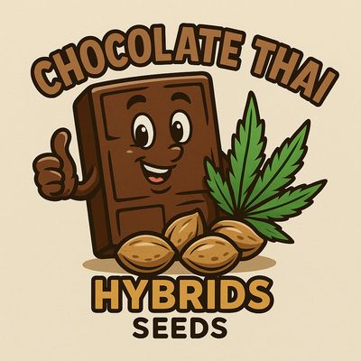 Chocolate Thai