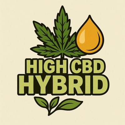 High CBD