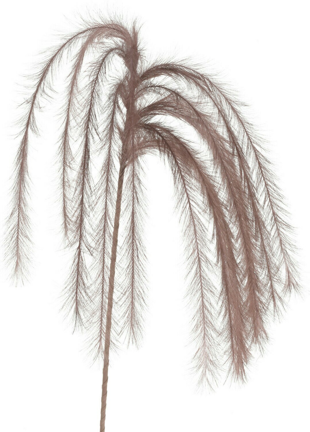 Suled varrel tumepruun
