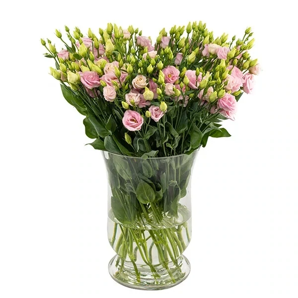 Roosad preeriakellukesed