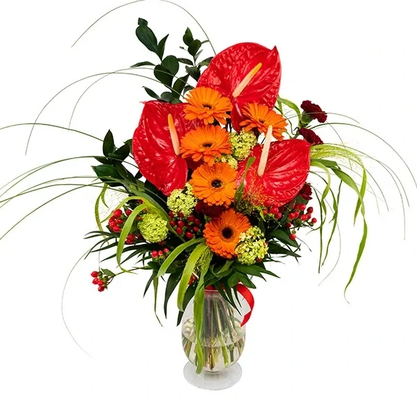 Enneolematu lillekimp