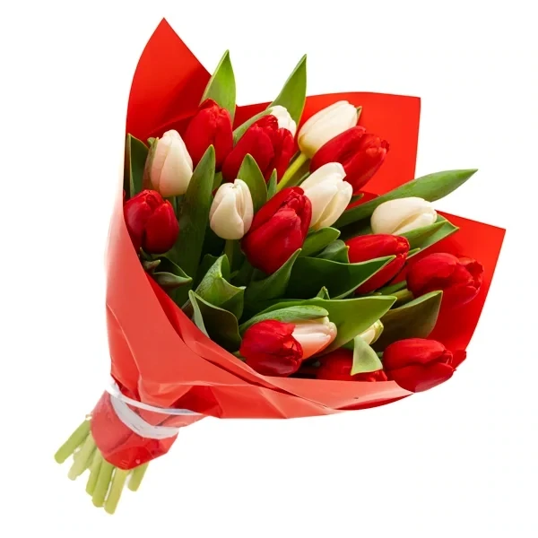 Pilkupüüdev tulbikimp