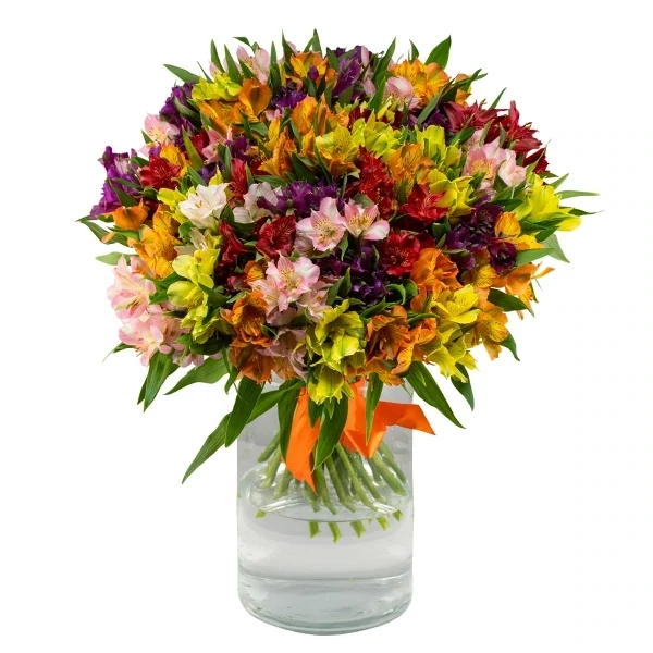 Dolce &amp; Gabbana lillekimp