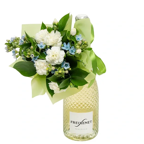 Sihikindel Freixenet