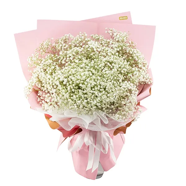 Roosa unelma lillekimp