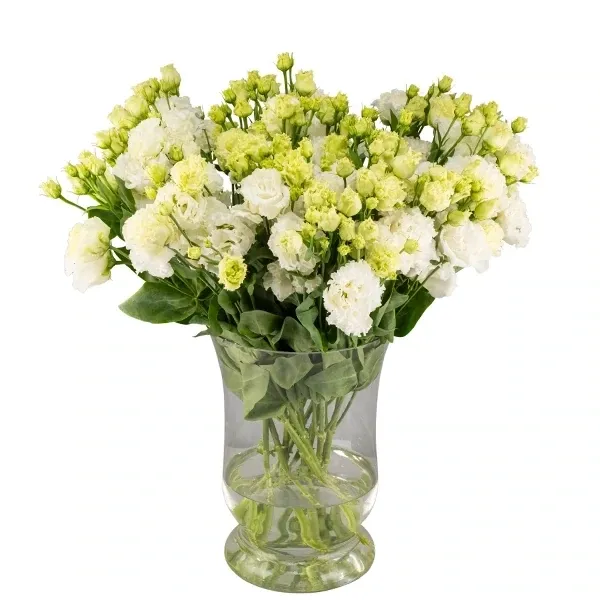 Valged preeriakellukesed