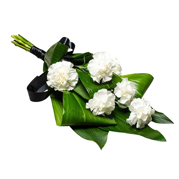 Klassikaline leinakimp