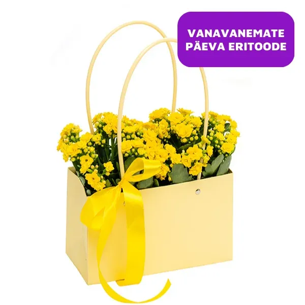Nunnule vanavanemale