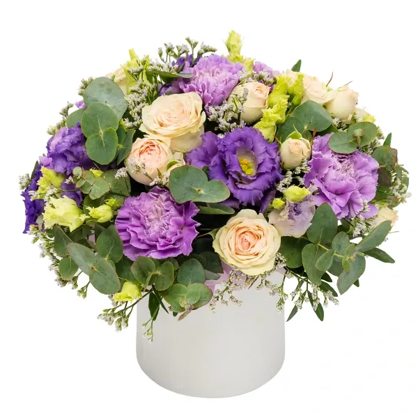 Violetne lillekarp