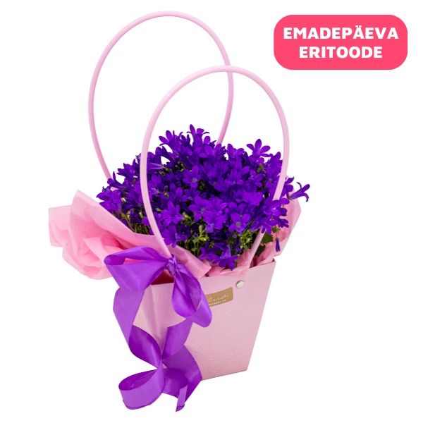 Lilla lillekott campanulaga