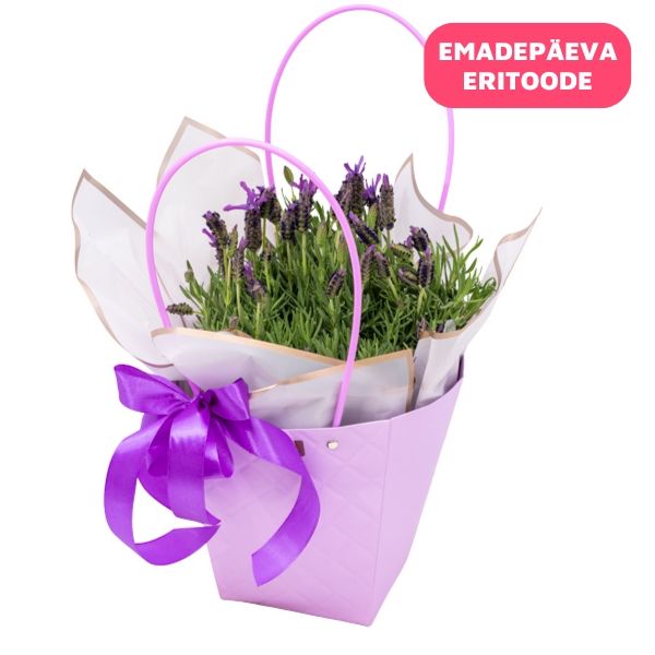 Lavendel lillekotis