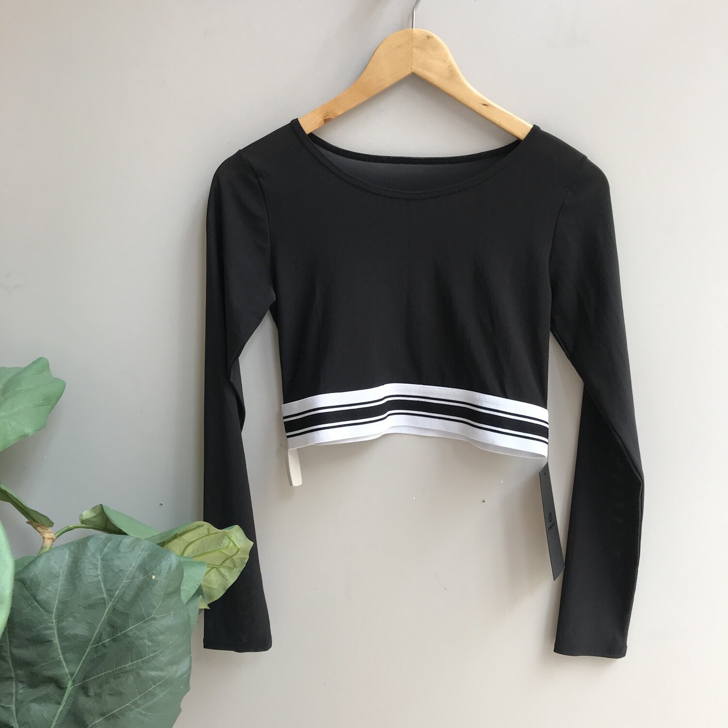 Long Sleeve Mesh Crop Top with Striped Band