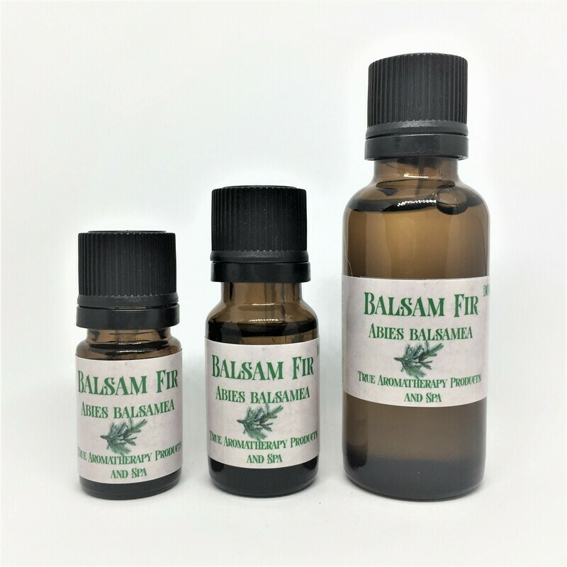 Balsam Fir