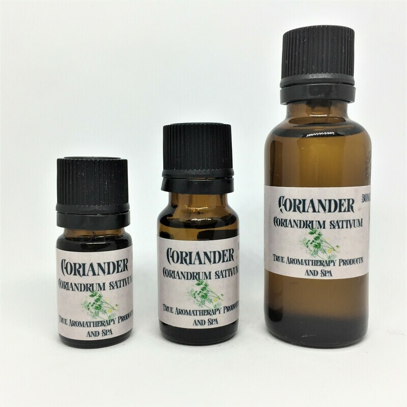 Coriander