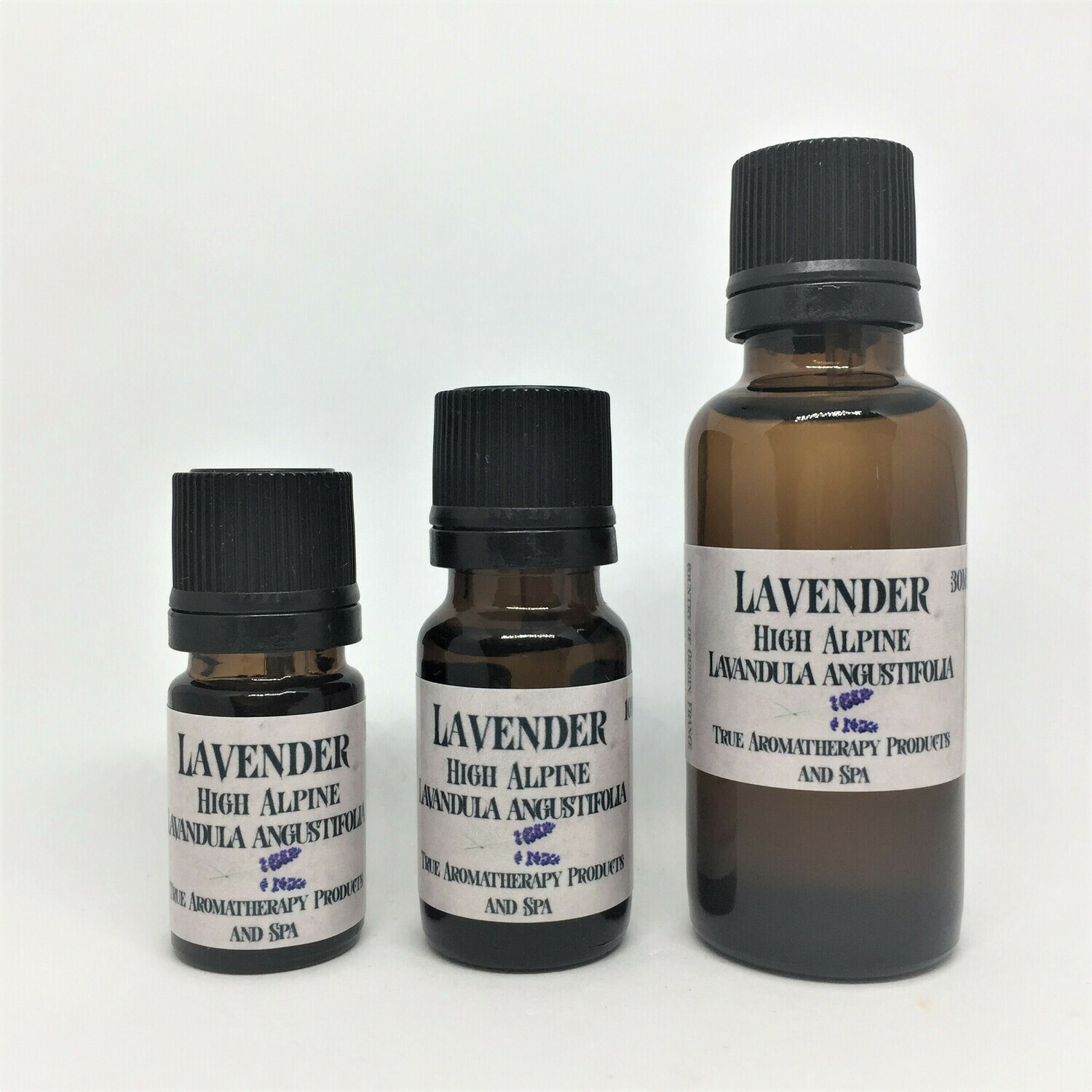 Lavender High Alpine