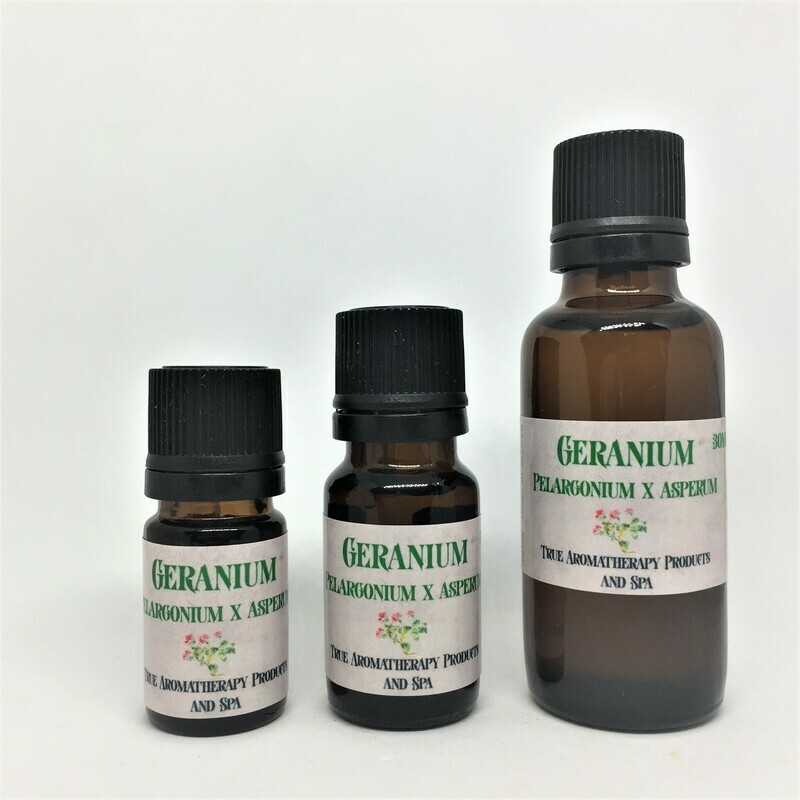 Geranium